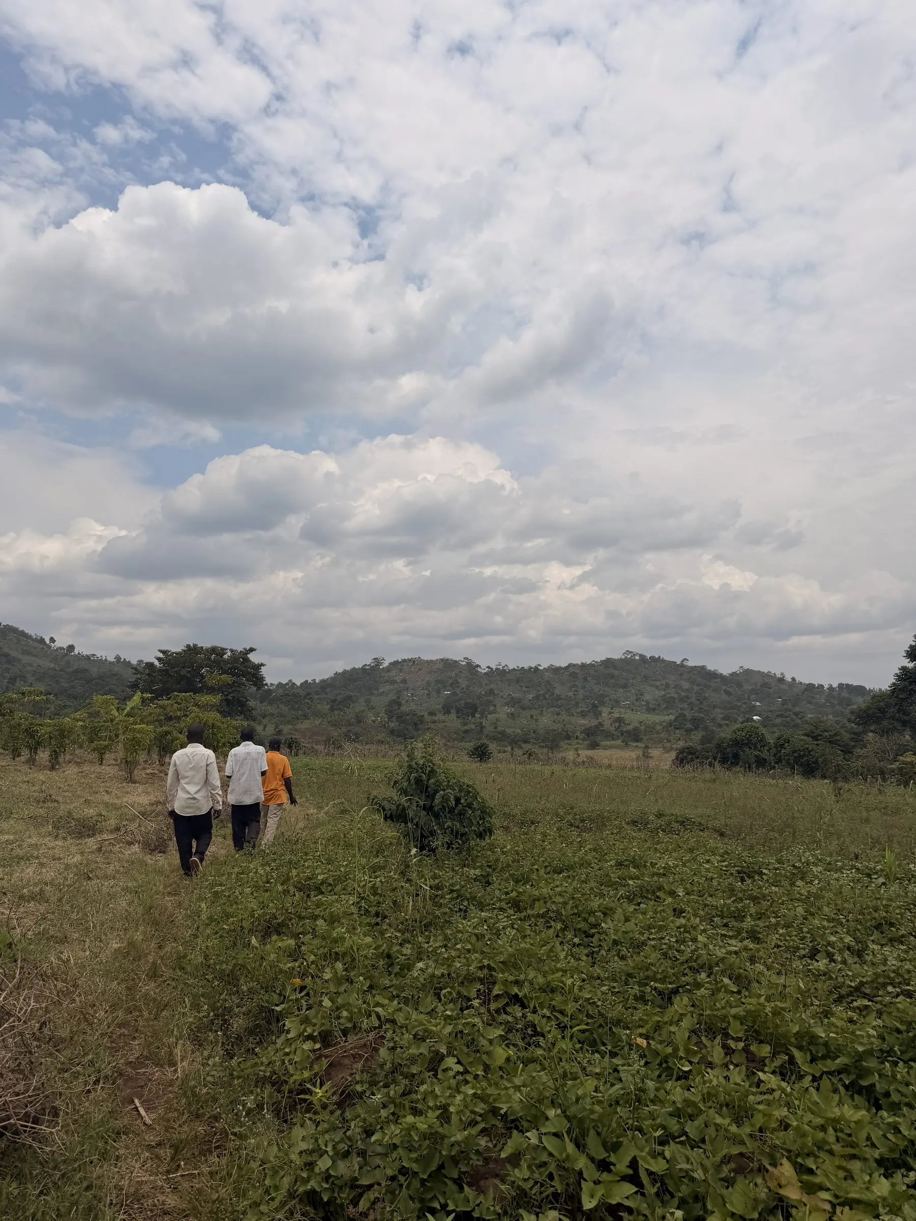 Walking across the purchased land toward the hills